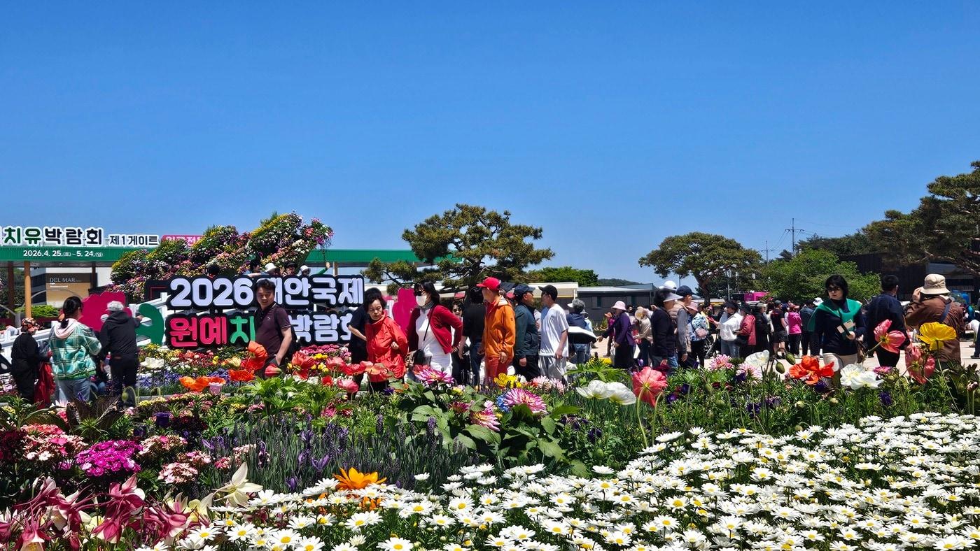본문 이미지 - '2026 태안국제원예치유박람회' 행사장 모습.(박람회 직위 제공. 재판매 및 DB금지)/뉴스1