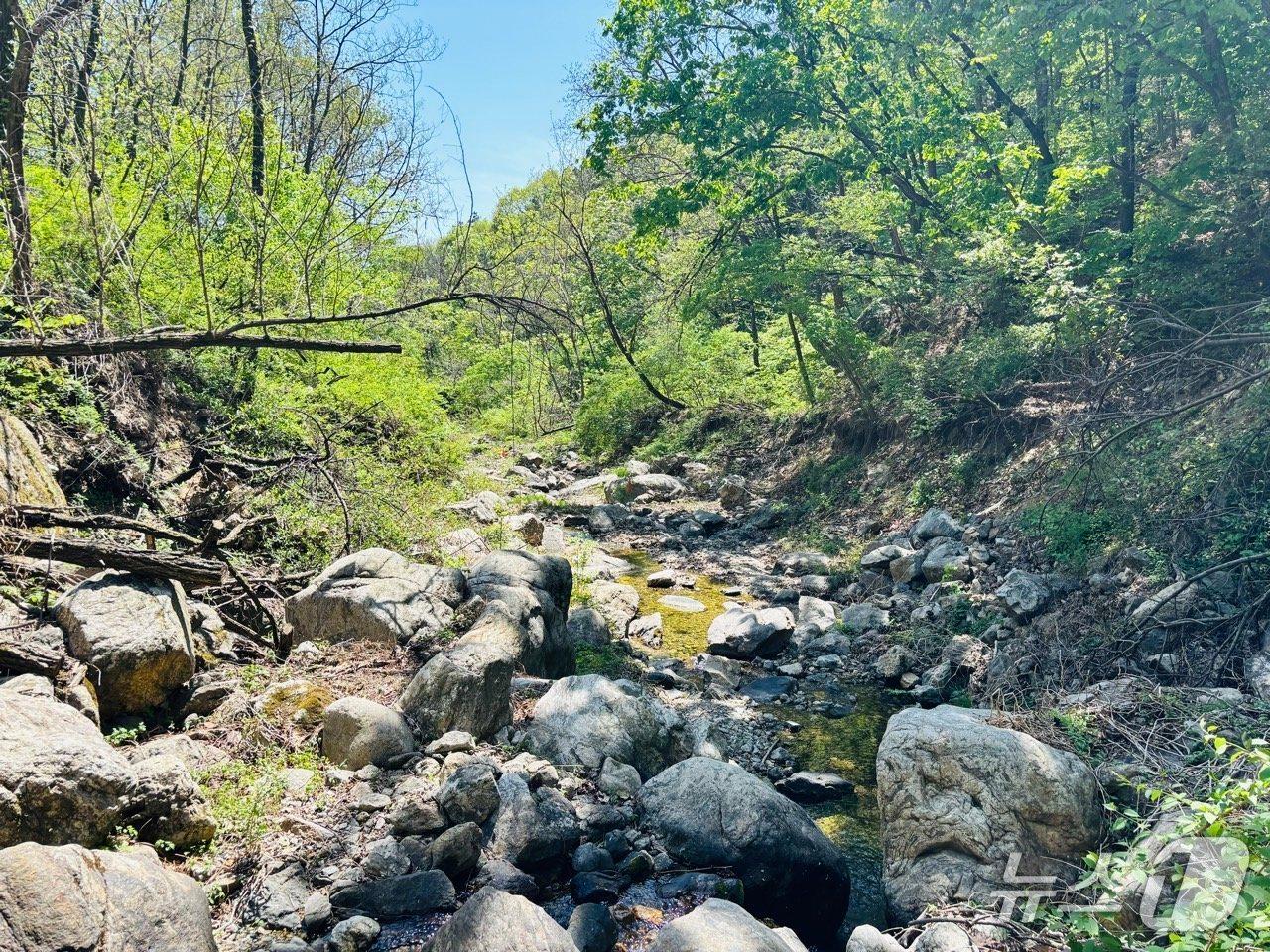 본문 이미지 - 산사태 취약지역으로 지정된 경기 수원시 장안구 상광교동 산76 일원. (수원시 제공. 재판매 및 DB 금지) 2026.5.11/뉴스1