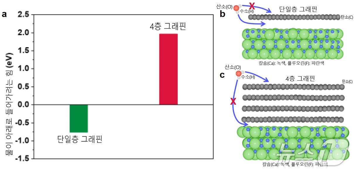 본문 이미지 - 단일층 그래핀과 다층 그래핀에서의 물 침투 차이(IBS 제공) /뉴스1