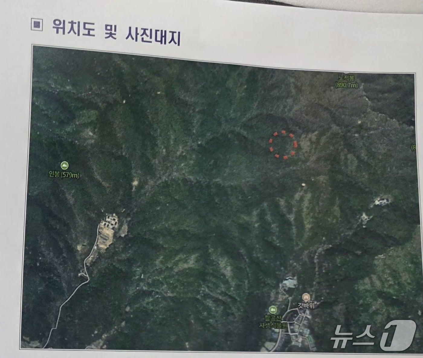 본문 이미지 - 11일 낮 12시48분쯤 대구 동구 도학동 팔공산 갓바위 부근 7부 능선에 난 불이 1시간여 만에 주불이 잡혔다.(대구 동구 제공. 재판매 및 DB금지)