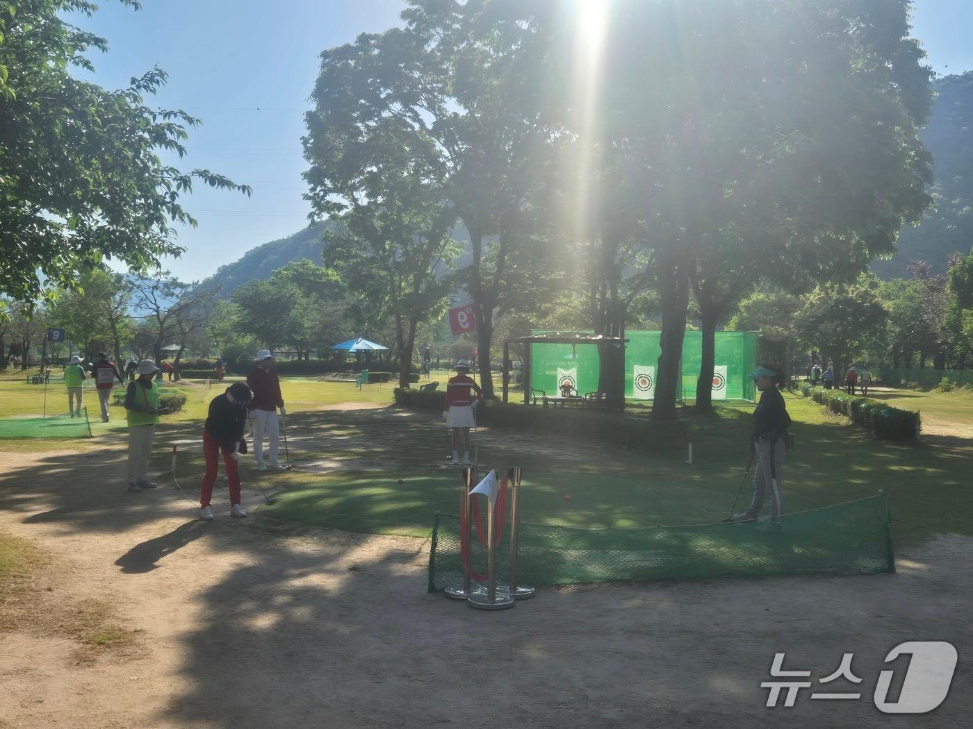 본문 이미지 - 전북 진안군 체육회가 주최하고 파크골프협회가 주관한 제12회 진안홍삼배 전국 파크골프대회가 지난 9일 개막해 오는 24일까지 열전에 돌입했다.(진안군제공, 재판매 및 DB금지)2026.5.11/뉴스1