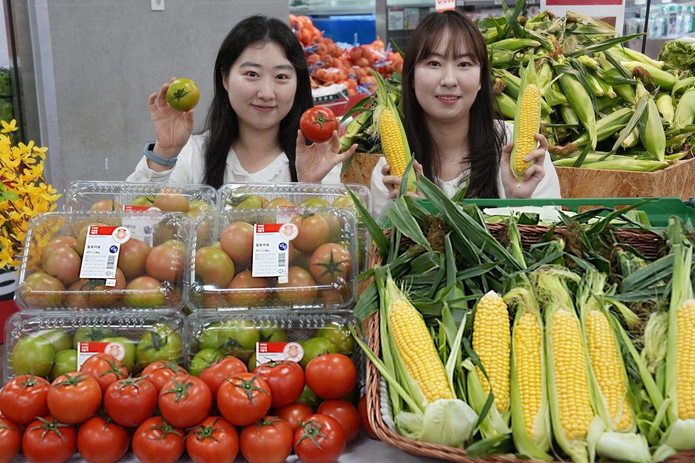 본문 이미지 - 롯데마트 강원 찰토마토·초당옥수수 홍보 이미지(롯데마트 제공)