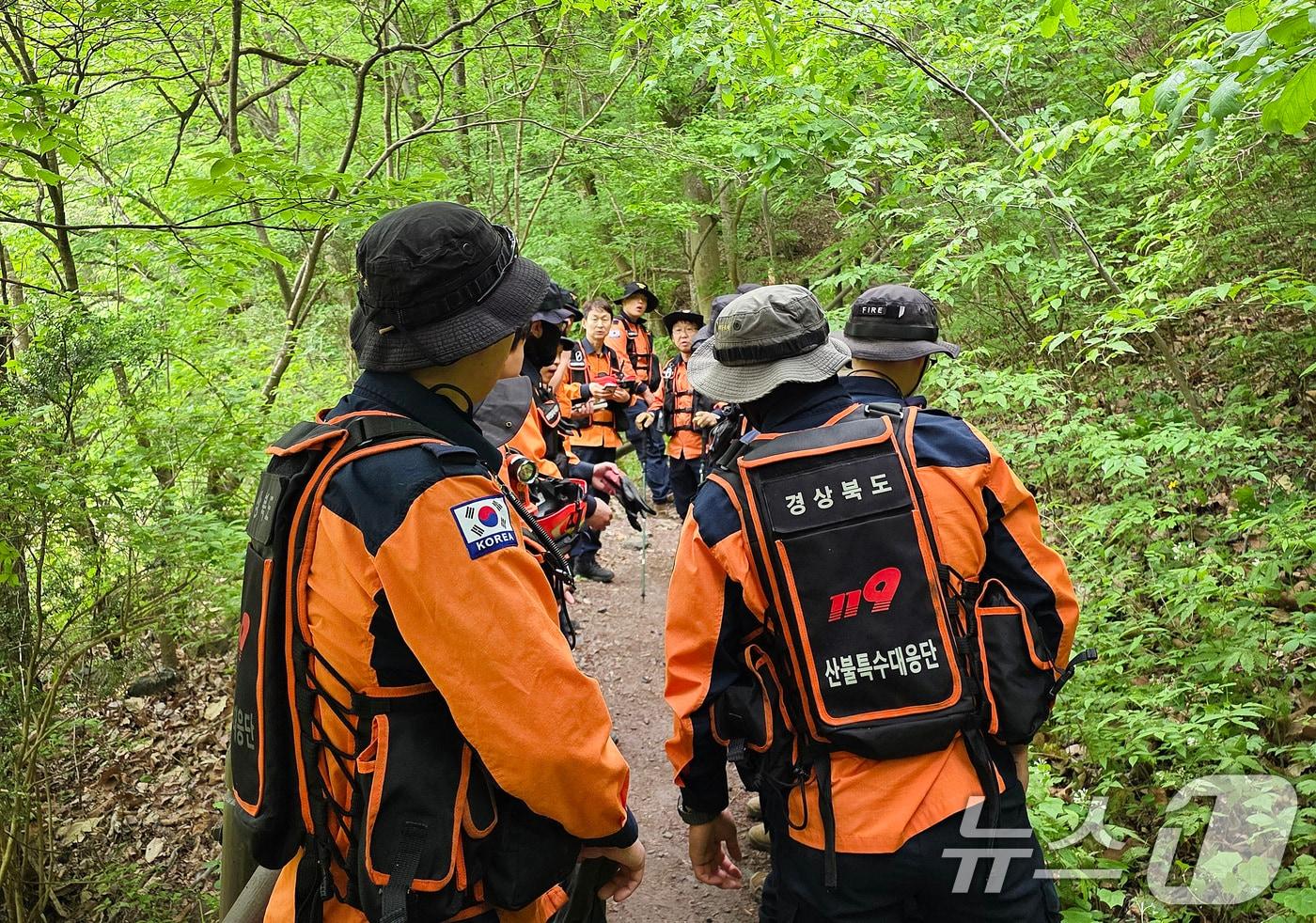본문 이미지 - 12일 오전 경북 산불특수대응단을 비롯한 경북소방 관계자들이 청송군 주왕산국립공원에서 실종된 13세 초등학생을 찾기 위한 수색을 재개하고 있다. (경북소방본부 제공. 재판매 및 DB 금지) 2026.5.12 ⓒ 뉴스1 공정식 기자