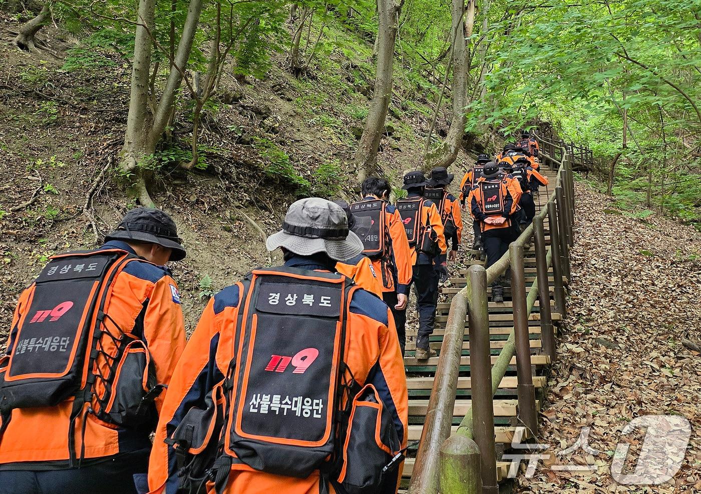 본문 이미지 - 12일 오전 경북 산불특수대응단을 비롯한 경북소방 관계자들이 청송군 주왕산국립공원에서 실종된 13세 초등학생을 찾기 위한 수색을 재개하고 있다. (경북소방본부 제공. 재판매 및 DB 금지) 2026.5.12 ⓒ 뉴스1 공정식 기자