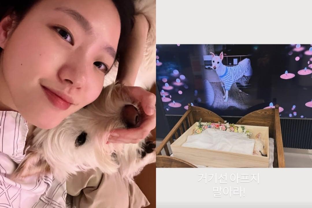 본문 이미지 - 김고은 인스타그램