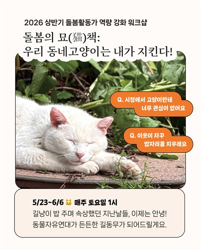 본문 이미지 - 동물자유연대는 오는 23일부터 6월 6일까지 총 3회에 걸쳐 '2026 상반기 돌봄활동가 역량 강화 워크숍 - 돌봄의 묘(猫)책: 우리 동네 고양이는 내가 지킨다'를 진행한다(동물자유연대 제공). ⓒ 뉴스1