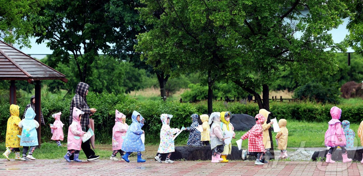 본문 이미지 - 비가 내린 12일 광주 북구 동림동 산동교 친수공원으로 야외활동을 나온 현대리나숲유치원 아이들이 선생님과 함께 봄비를 맞으며 숲체험을 하고 있다.(광주 북구 제공. 재판매 및 DB 금지) 2026.5.12 ⓒ 뉴스1