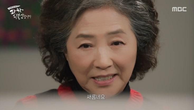 본문 이미지 - MBC '파하, 최불암입니다' 화면 캡처