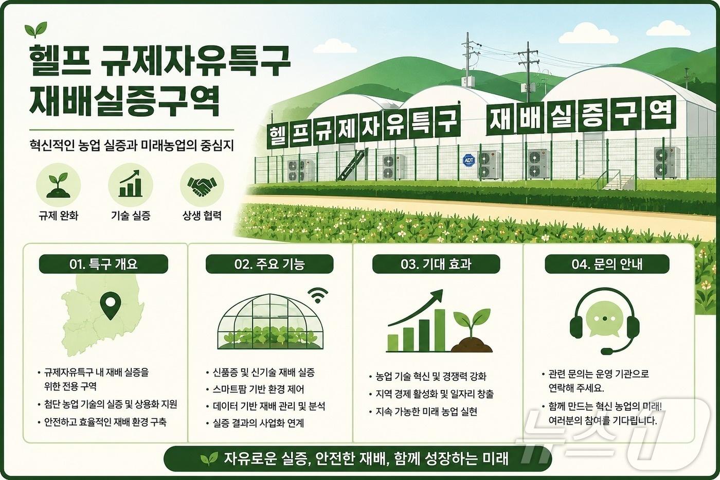 본문 이미지 - 경북도는 북부권을 헴프 산업 거점으로 육성하기 위해 재배단지와 완제의약품 생산시설 등 전·후방 산업 기반 구축에 나선다. /뉴스1