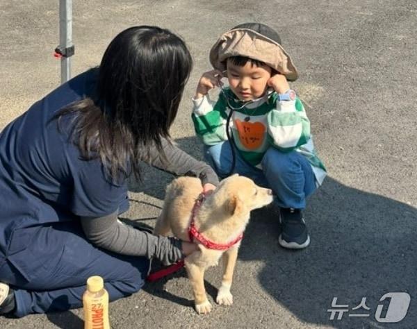 본문 이미지 - 수의대생이 어린이에게 생명 존중 교육을 하고 있다(전국수의과대학봉사동아리연합회 제공). ⓒ 뉴스1