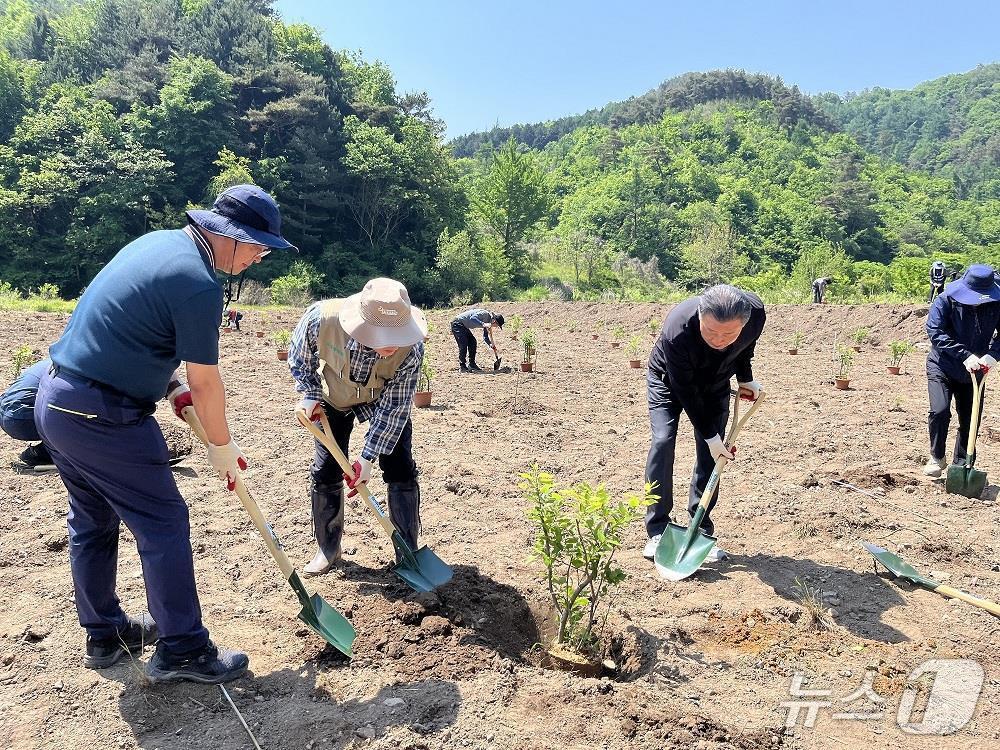 본문 이미지 - 전북 진안군 용담댐에서 열린 ‘네이처 포지티브(Nature Positive) 소생태계 복원 행사’에서 참석자들이 홍수터에 버드나무를 식재하고 있다.(한국수자원공사 제공.재판매 및 DB금지)/뉴스1