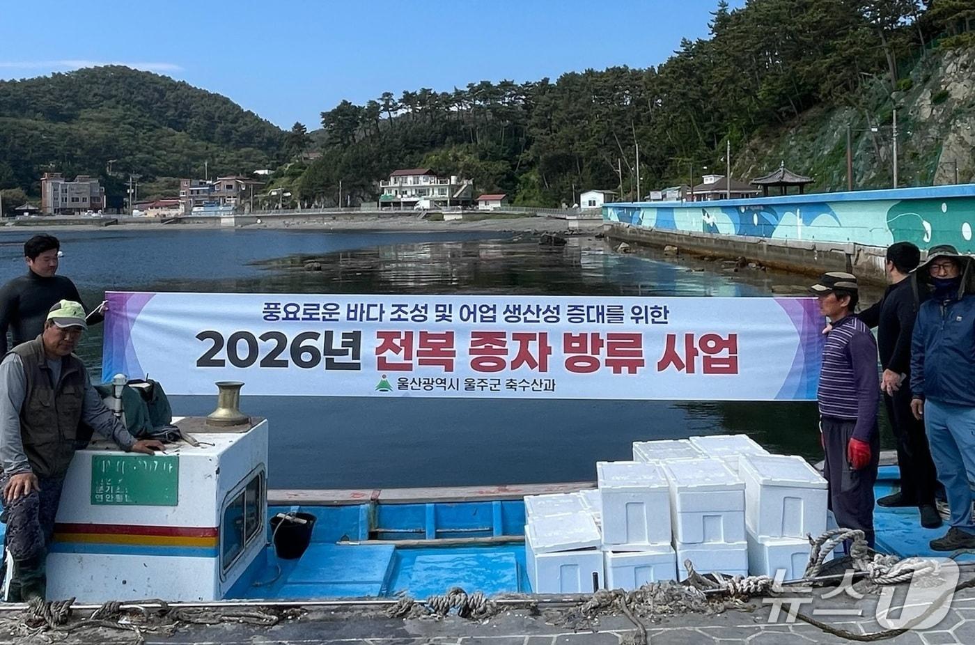 본문 이미지 - 14일 울주군 어촌계 마을어장에서 전복종자 방류 행사가 열리고 있다. (울주군 제공. 재판매 및 DB 금지) /뉴스1