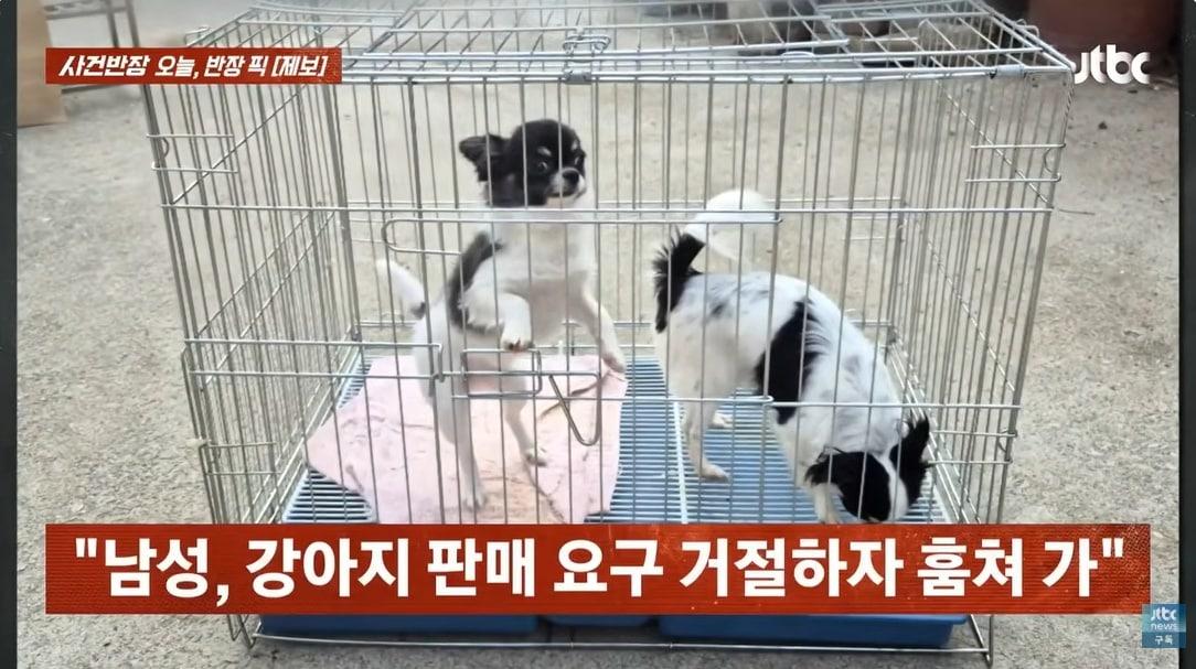 본문 이미지 - JTBC '사건반장'