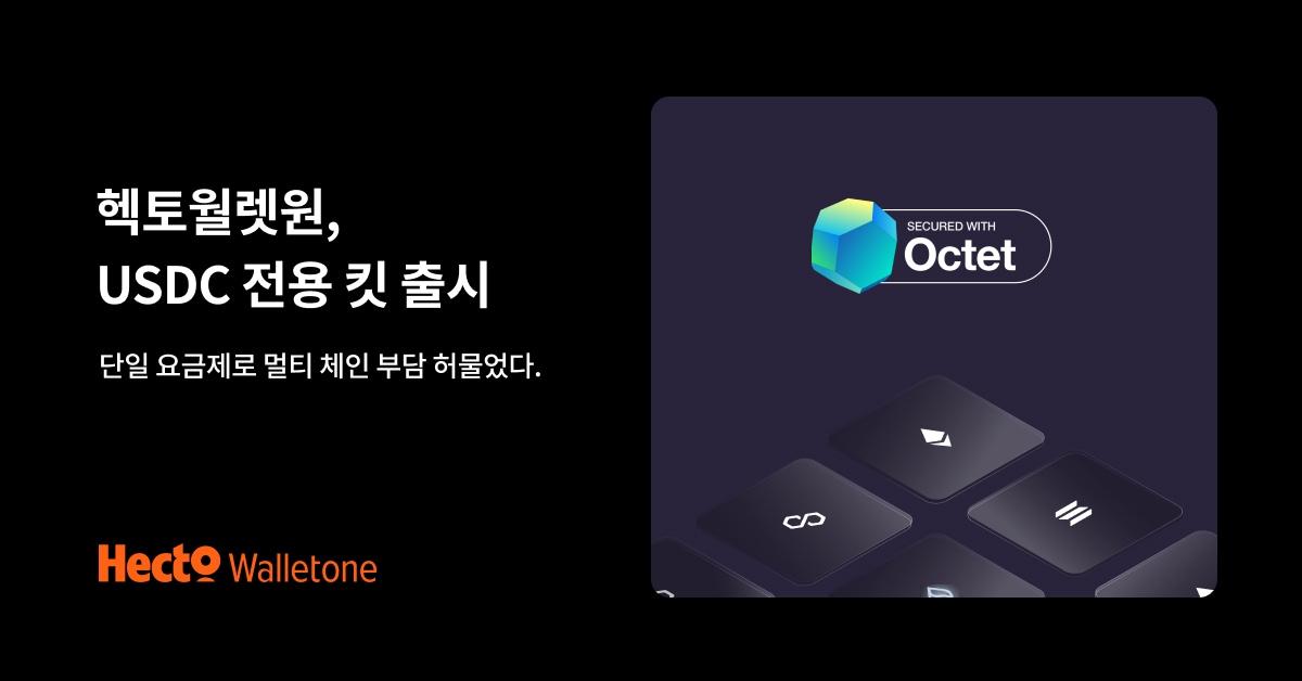 본문 이미지 - 헥토월렛원 USDC 전용 킷(헥토이노베이션 제공)