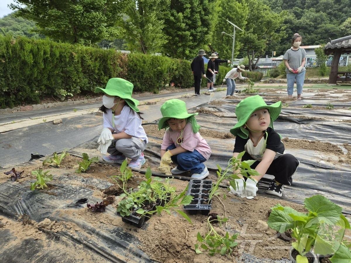 본문 이미지 - 가산초등학교는 ‘씨앗에서 퇴비로 이어지는 에코-루프(Eco-Loop)’를 주제로 한 급식 선도학교 운영을 통해 학생 주도의 지속가능한 식생활 교육을 추진한다. /뉴스1
