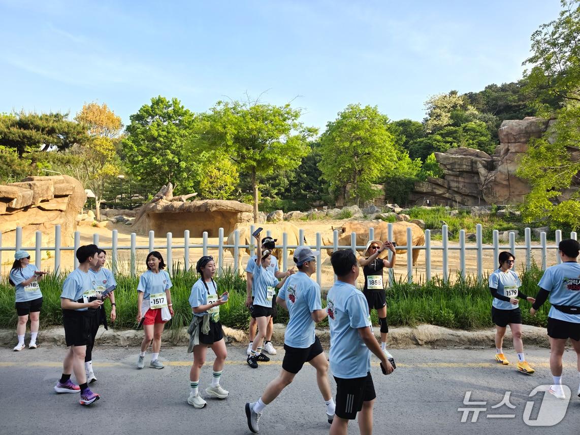 본문 이미지 - 갤럭시 워치런 사파리 현장 (삼성전자 제공)