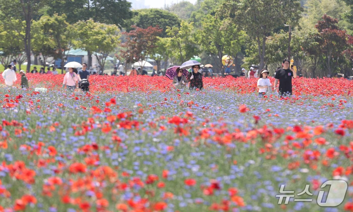 본문 이미지 - 17일 울산 중구 태화강국가정원을 찾은 시민들이 활짝 핀 봄꽃들을 감상하고 있다. 2026.5.17 ⓒ 뉴스1 조민주 기자