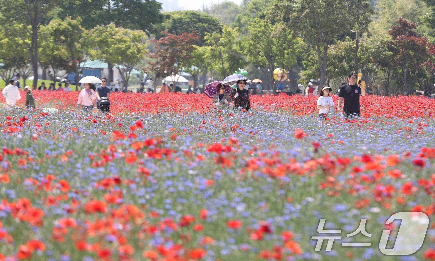 본문 이미지 -  울산 중구 태화강국가정원. 2026.5.17 ⓒ 뉴스1 조민주 기자