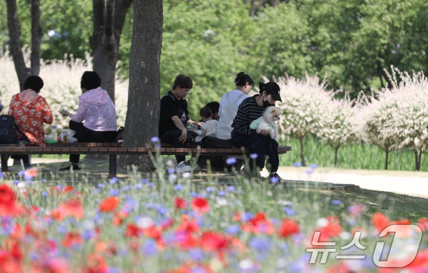 본문 이미지 - 17일 울산 중구 태화강국가정원을 찾은 시민들이 활짝 핀 봄꽃을 감상하고 있다. 2026.5.17 ⓒ 뉴스1 조민주 기자