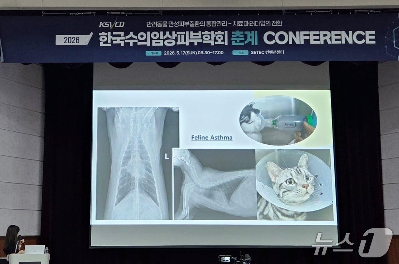 본문 이미지 - 2026 한국수의임상피부학회 춘계 콘퍼런스가 17일 서울 강남구 세텍에서 열렸다. ⓒ 뉴스1