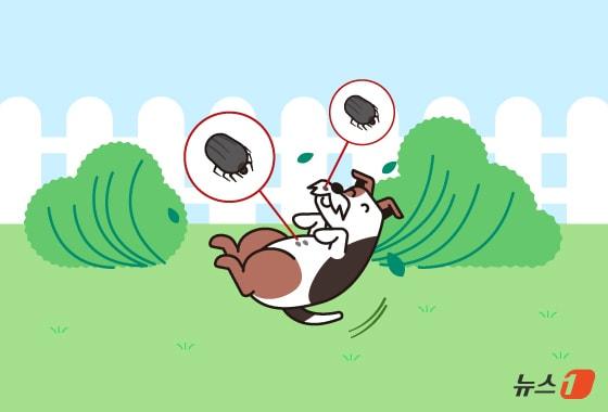 본문 이미지 - ⓒ 뉴스1 김지영 디자이너