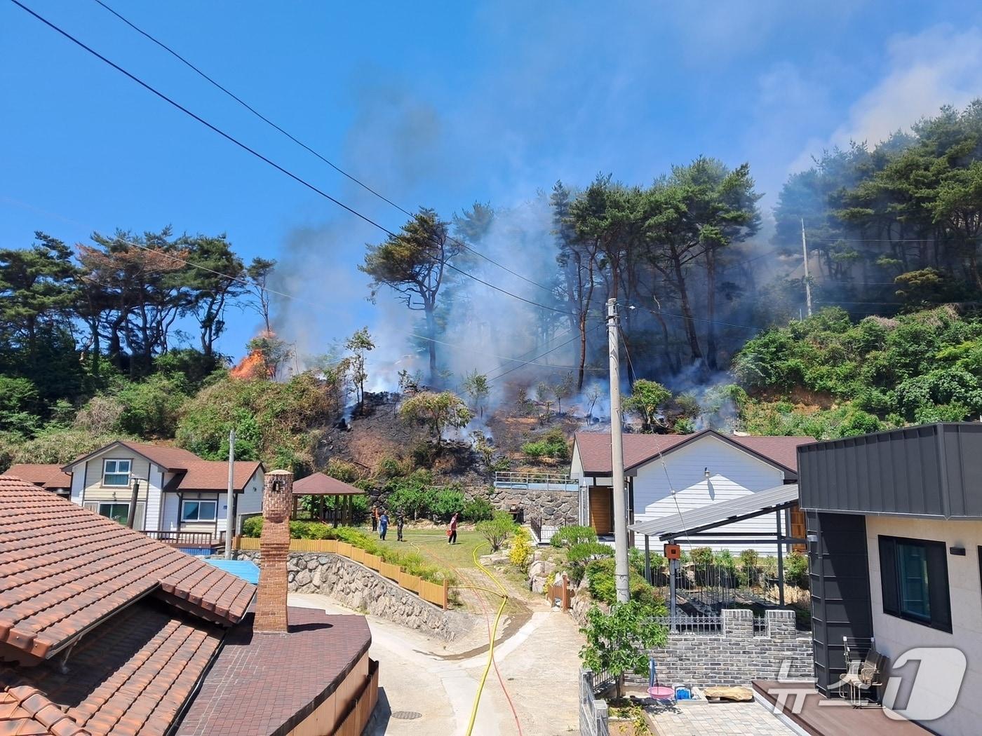 본문 이미지 - 울산소방이 18일 오전 10시 53분께 울산 울주군 두서면 전읍리 아미산에서 발생한 불을 진압하고 있다.(울산소방본부 제공. 재판매 및 DB금지)/뉴스1