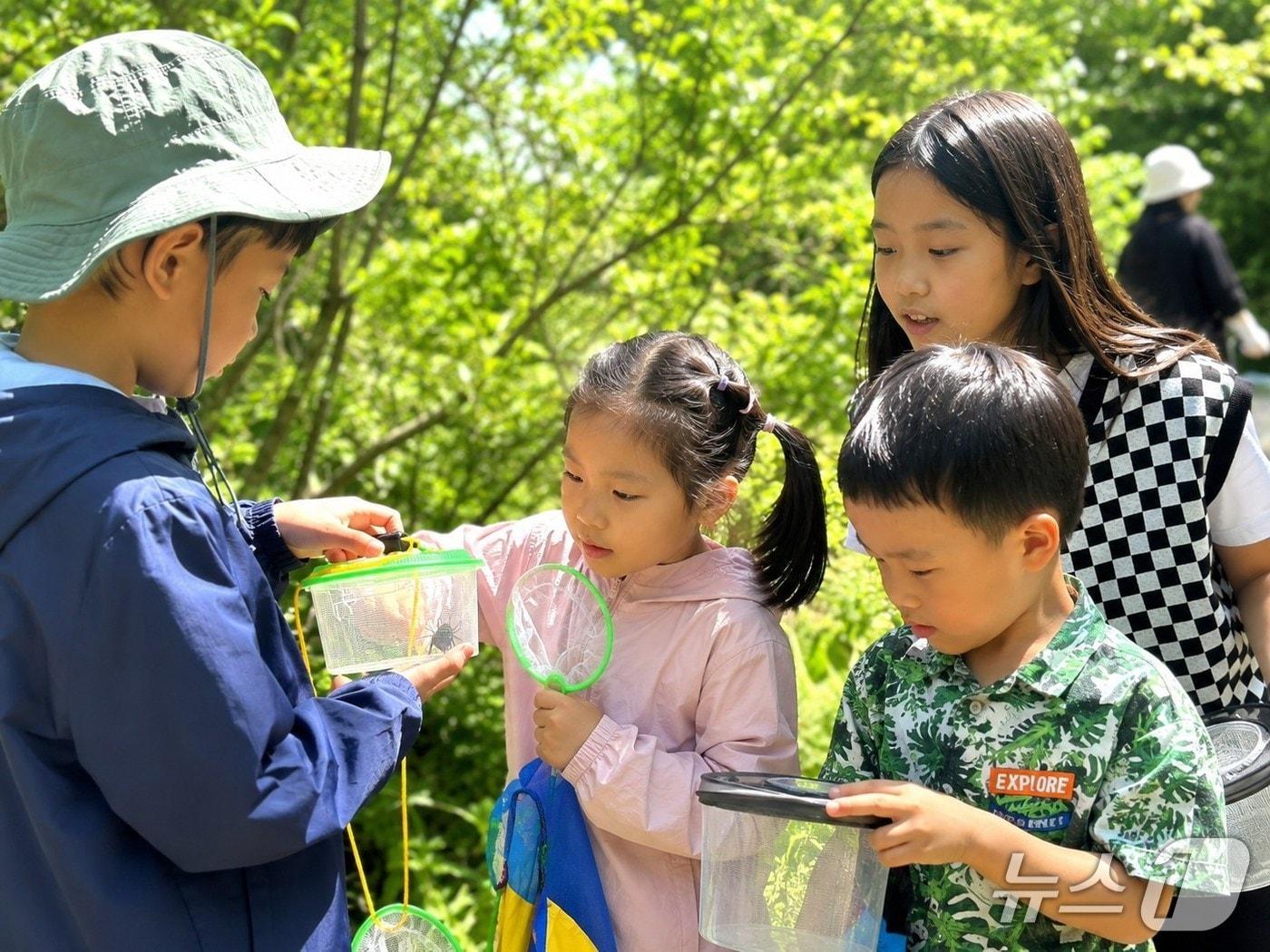 본문 이미지 - 금강공원에서 진행된 공원 자연학교 2.0 프로그램 '찾아라 곤충 친구들'에 참가한 어린이들이 곤충을 채집하고 있다. (부산시설공단 제공. 재판매 및 DB금지)