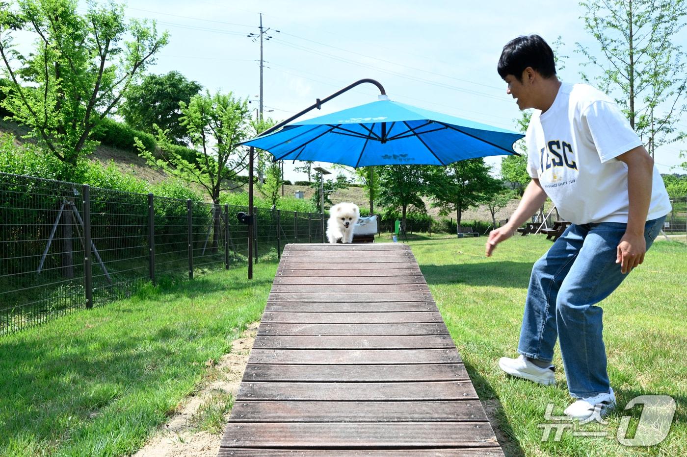 본문 이미지 - 전북 남원시가 요천생태습지공원 반려견 놀이터를  이전·확장했다.(남원시 제공. 재판매 및 DB금지)/뉴스1