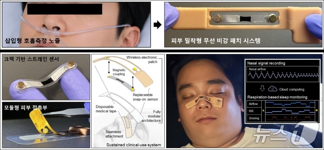 본문 이미지 - (충남대 제공.재판매 및 DB금지)/뉴스1 