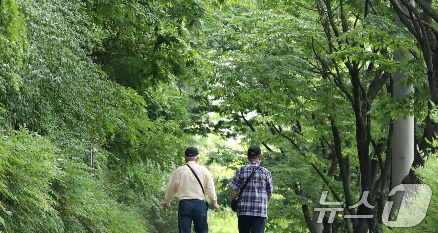 본문 이미지 - 초여름 이른 더위가 이어진 19일 대구 도심에서 노인들이 녹음 짙어가는 가로수길을 걷고 있다. 2026.5.19 ⓒ 뉴스1 공정식 기자