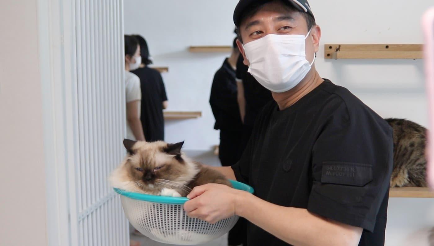 본문 이미지 - 이민수 SD동물의료센터 원장이 병원에서 진료헀던 고양이를 살펴보고 있다(병원 제공). ⓒ 뉴스1