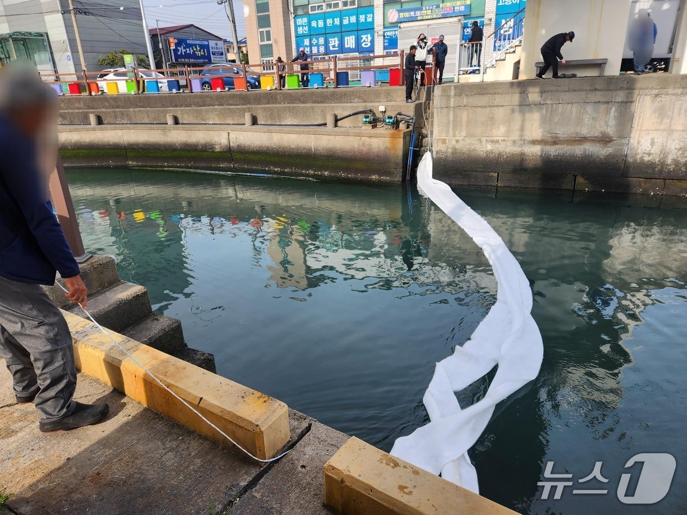 본문 이미지 - 제주 도두항 방제작업 현장.(제주해양경찰서 제공, 재판매 및 DB 금지)