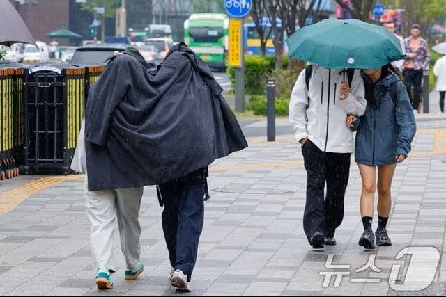 본문 이미지 - 3일 충북 전 지역에서 비(자료사진) 