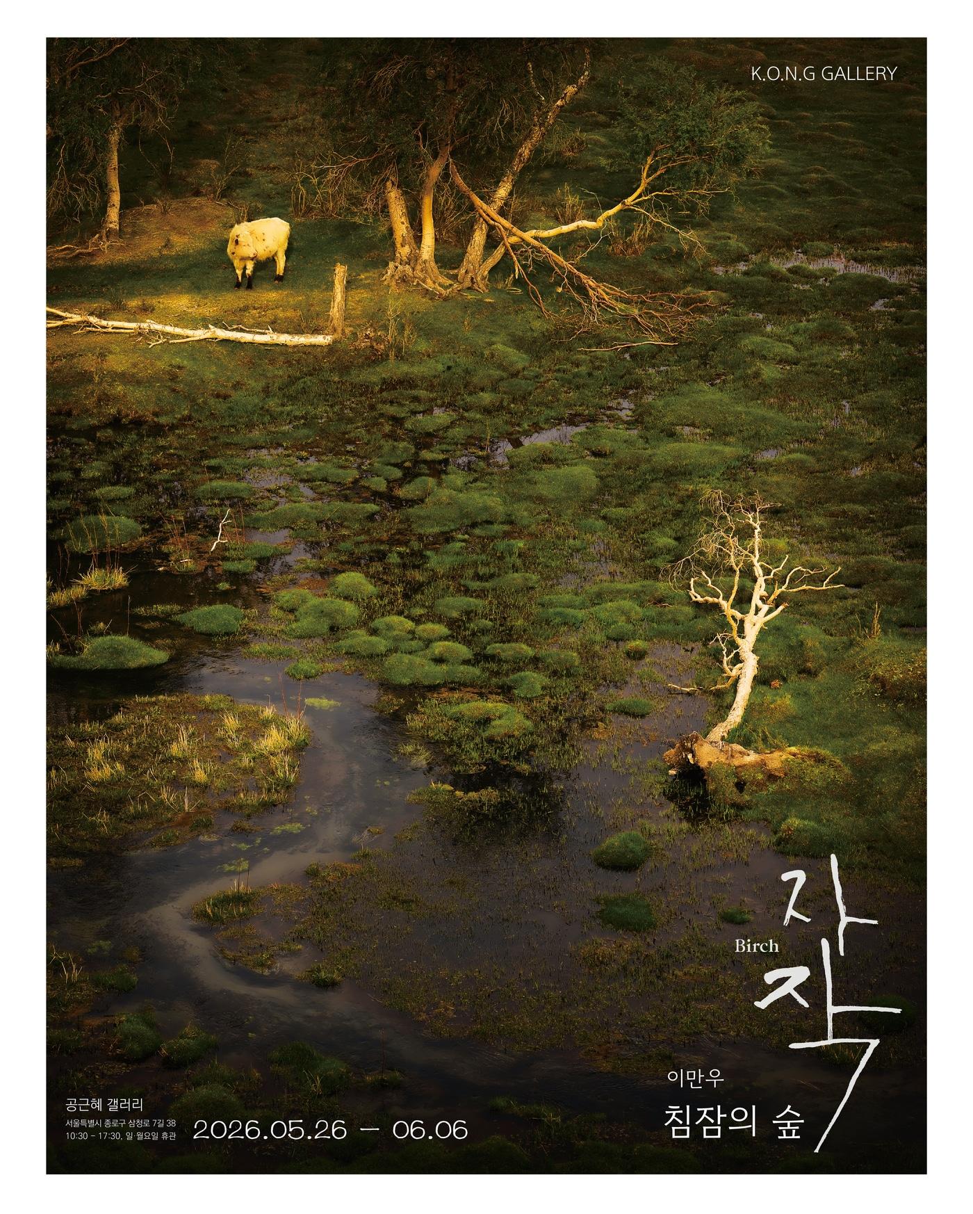 본문 이미지 - 이만우 사진전_자작 침잠의 숲_포스터 (공근혜 갤러리 제공)
