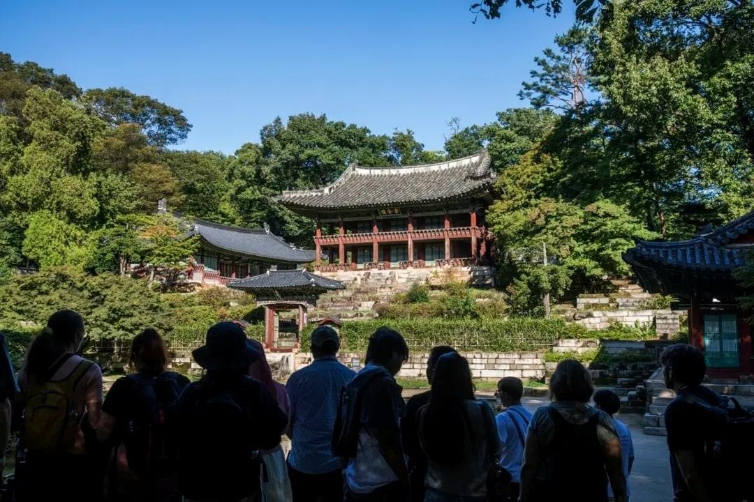 본문 이미지 - 창덕궁 '무언자적, 왕의 아침 정원을 거닐다' 프로그램에 참여한 외국인 관광객들이 고즈넉한 궁궐을 산책하고 있다.(크리에이트립 제공)