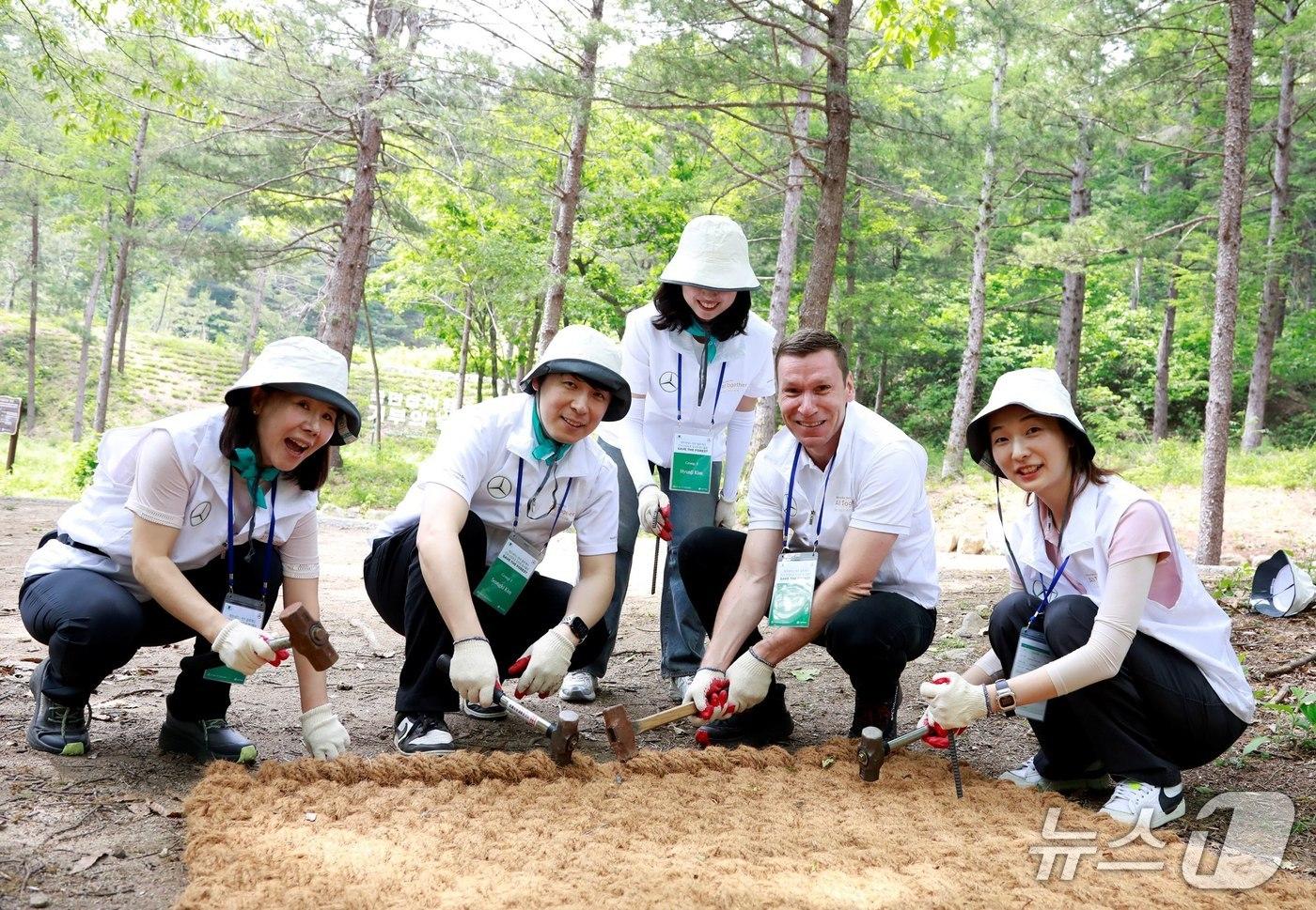 본문 이미지 - 메르세데스-벤츠 사회공헌위원회가 19일 강원 춘천 소재 국립춘천숲체원에서 산림보호 활동 '세이브 더 포레스트'(Save the Forest)를 개전개했다. 사진은 이날 마티아스 바이틀 메르세데스-벤츠 사회공헌위원회 의장(왼쪽 두번째)이 메르세데스-벤츠 코리아 임직원들과 함께 나무를 심고 있는 모습(메르세데스-벤츠 사회공헌위원회 제공). 2026.5.19.