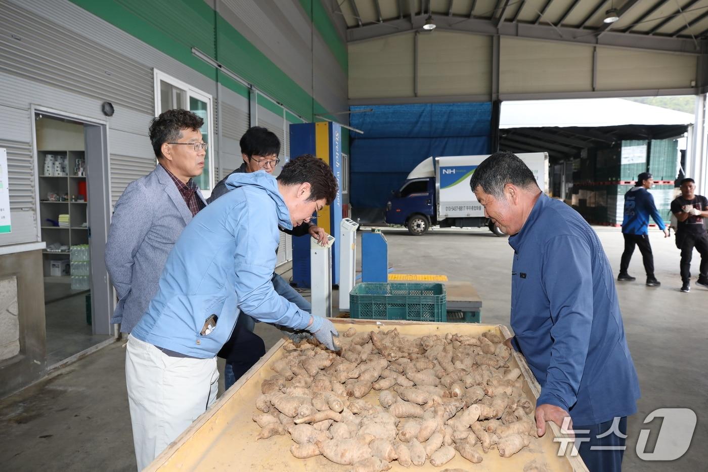 본문 이미지 - 전북 무주군이 5월 29일까지 1년이상 지역에 거주한 농업인을 대상으로 수매1형에 대한 신청·접수를 받는다.(무주군 제공. 재판매 및 DB 금지)