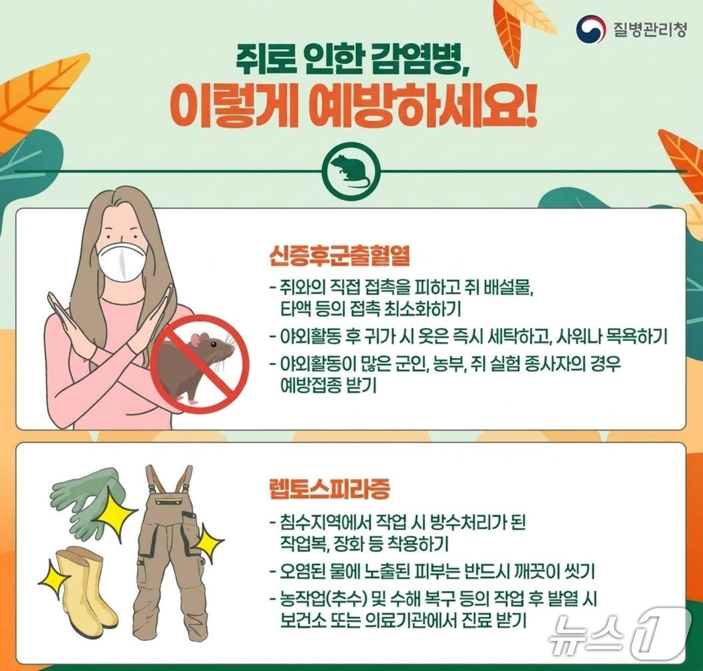 본문 이미지 - 설치류 매개 감염병 예방 포스터.(괴산군 제공. 재판매 및 DB금지)/뉴스1