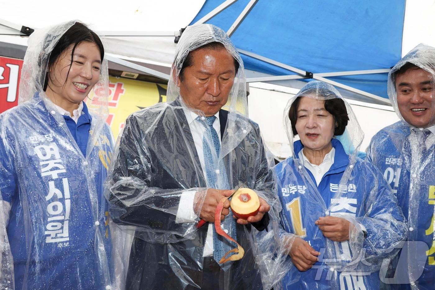 본문 이미지 - 정청래 더불어민주당 대표가 20일 오전 경기 여주시 여주한글시장을 방문해 사과를 깎고 있다. (공동취재) 2026.5.20 ⓒ 뉴스1 김영운 기자