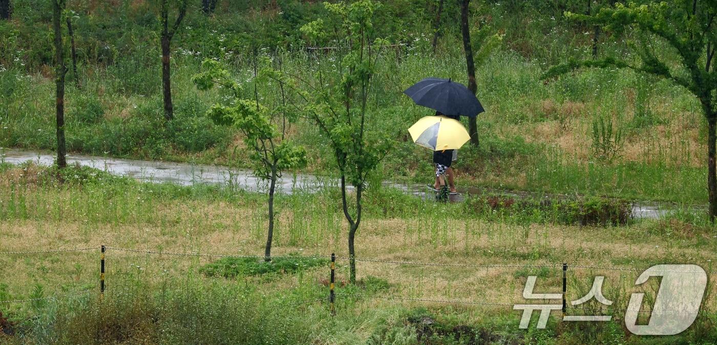 본문 이미지 - 비가 내린 20일 전북 완주군 삼봉로에서 우산을 쓴 시민들이 발걸음을 옮기고 있다. ⓒ 뉴스1 유경석 기자