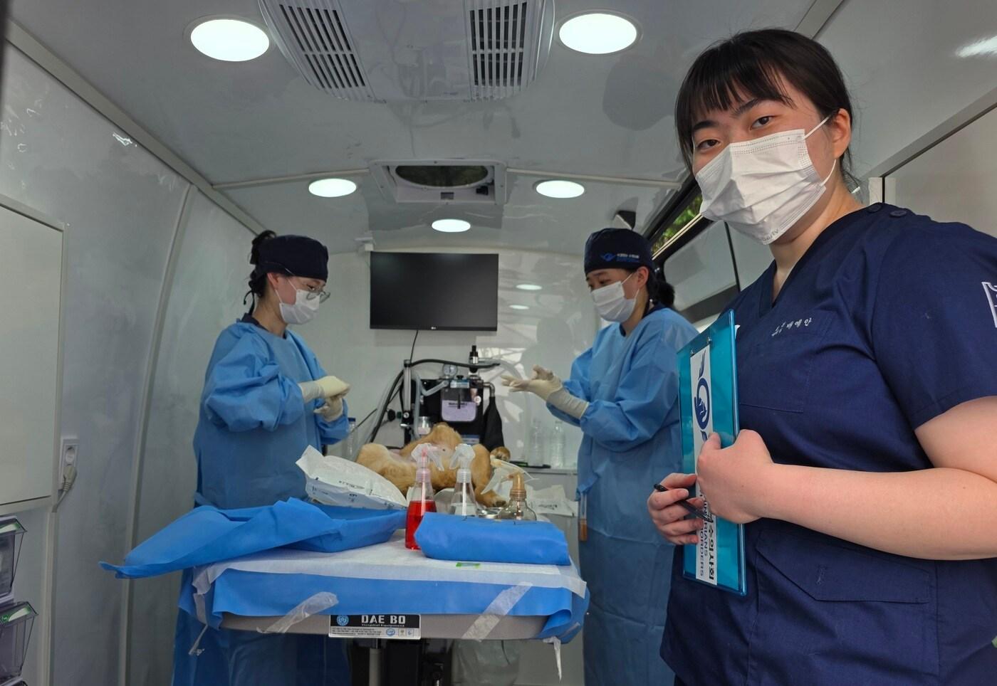 본문 이미지 - 국경없는수의사회가 울산 지역 동물 보호소에서 대규모 동물의료봉사 활동을 펼쳤다(수의사회 제공). ⓒ 뉴스1