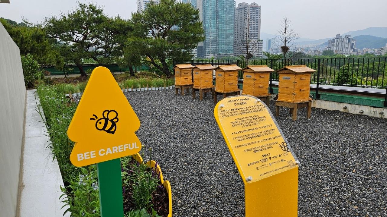 본문 이미지 - 도시양봉장