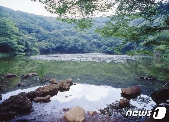 본문 이미지 -  물찻오름습지.(제주도 제공. 재판매 및 DB 금지)/뉴스1