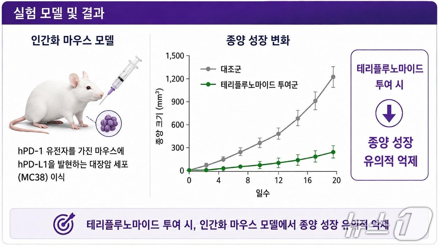 본문 이미지 - 다발성경화증 치료제 '테리플루노마이드'의 대장암 항암 작용 강화 실험 결과(한국한의학연구원 제공) /뉴스1