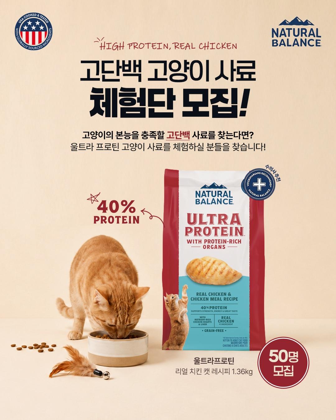 본문 이미지 - 내추럴발란스가 고양이용 고단백 사료 '울트라 프로틴 리얼 치킨 레시피' 체험단 모집에 나선다(업체 제공). ⓒ 뉴스1