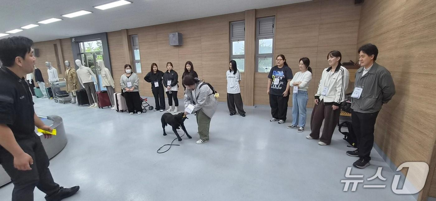 본문 이미지 - 인천 영종도 탐지견훈련센터에서 열린 제7회 탐지견 아카데미 실습 현장(공항환경 재현 훈련장)(관세청 제공.재판매 및 DB금지)/뉴스1