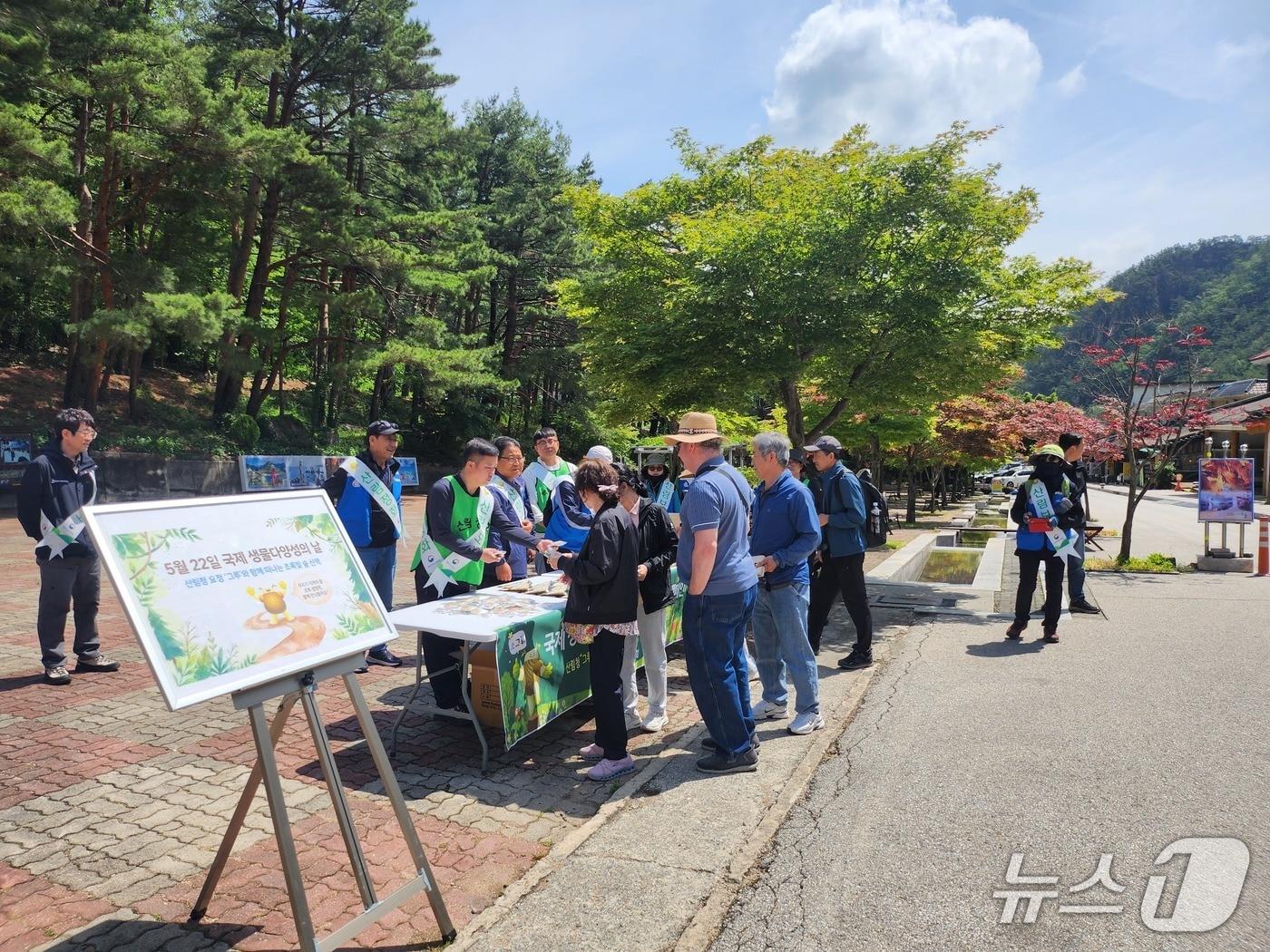 본문 이미지 - 동부지방산림청이 22일 강원 동해시 무릉계곡 일대에서 실시한 국제 생물 다양성의 날 기념 캠페인 현장.(동부산림청 제공, 재판매 및 DB 금지) 2026.5.22/뉴스1