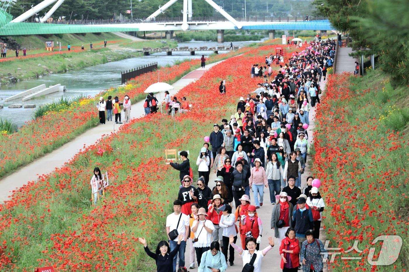 본문 이미지 - 23일 괴산 동진천변 꽃길을 따라 관광객과 주민들이 걷고 있다.(괴산군 제공. 재판매 및 DB금지)/뉴스1