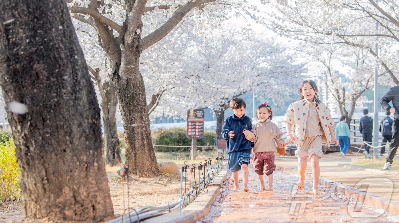 본문 이미지 - 구미 지산샛강 생태공원 맨발 산책길에서 어린이들이 맨발로 걷고 있다. (구미시 제공. 재판매 및 DB금지) ⓒ 뉴스1 정우용 기자