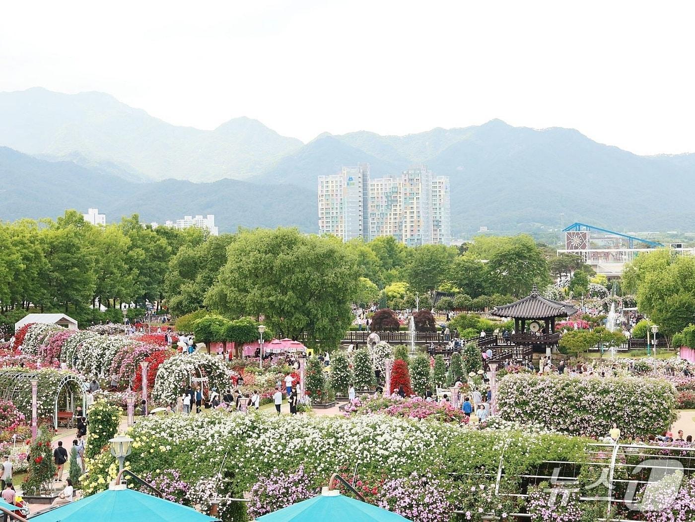 본문 이미지 - 오는 31일까지 섬진강기차마을 일원에서 곡성세계장미축제가 열린다(곡성군 제공)